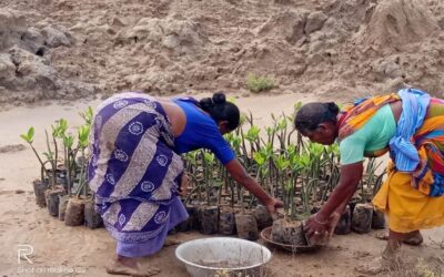 Geschenk mit Wirkung: 750 neue Bäume für Indien